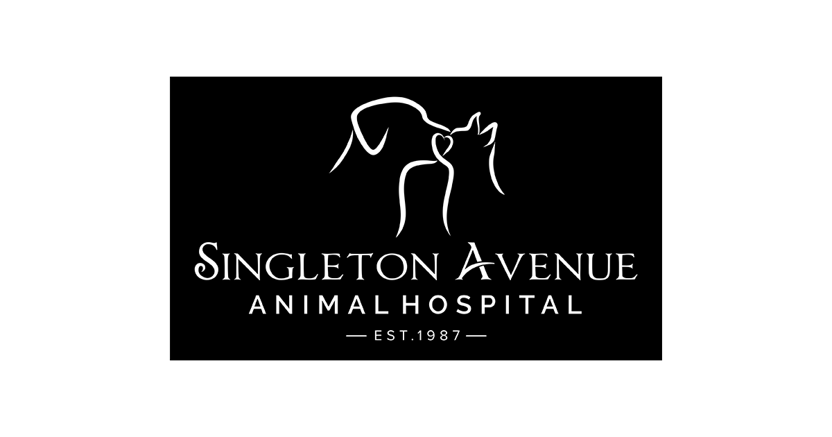 HighQuality Vet Hospital in Titusville, FL Singleton Avenue Animal